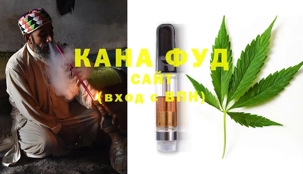 индика Бугульма
