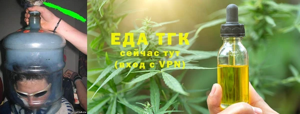 mdpv Бородино