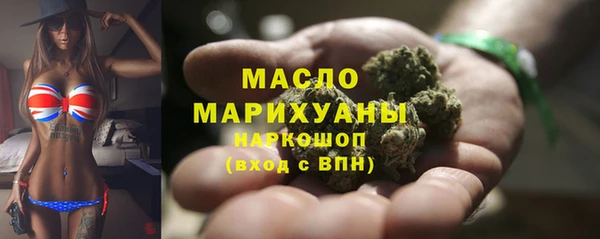 mdpv Бородино