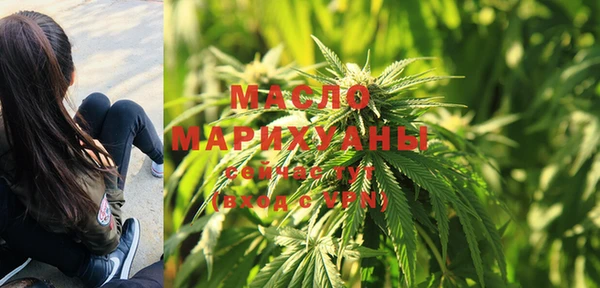 mdpv Бородино