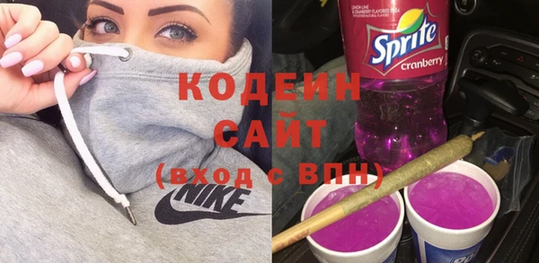 индика Бугульма