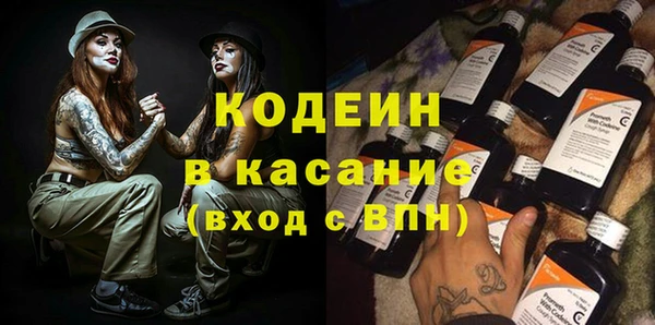 индика Бугульма