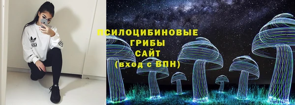 mdpv Бородино