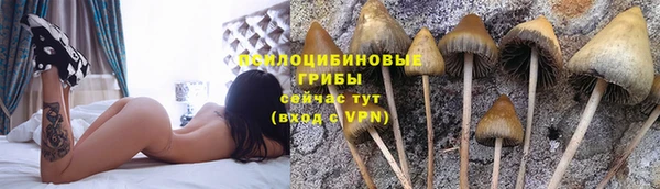 мескалин Бронницы