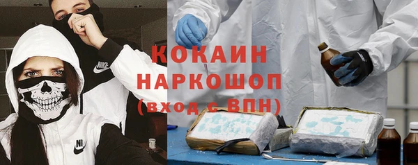 mdpv Бородино