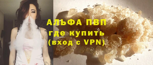 индика Бугульма