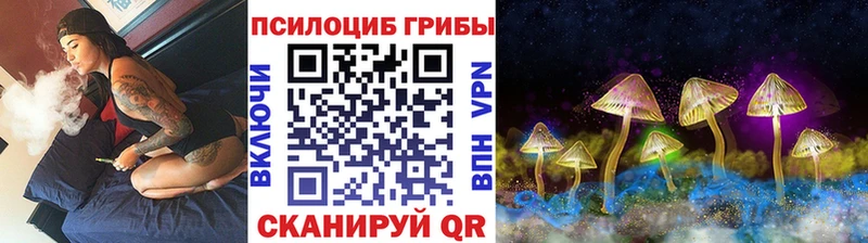 Псилоцибиновые грибы мицелий  Мещовск 